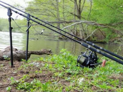 Cum alegi mulineta pentru crap – ghid complet pentru pescari