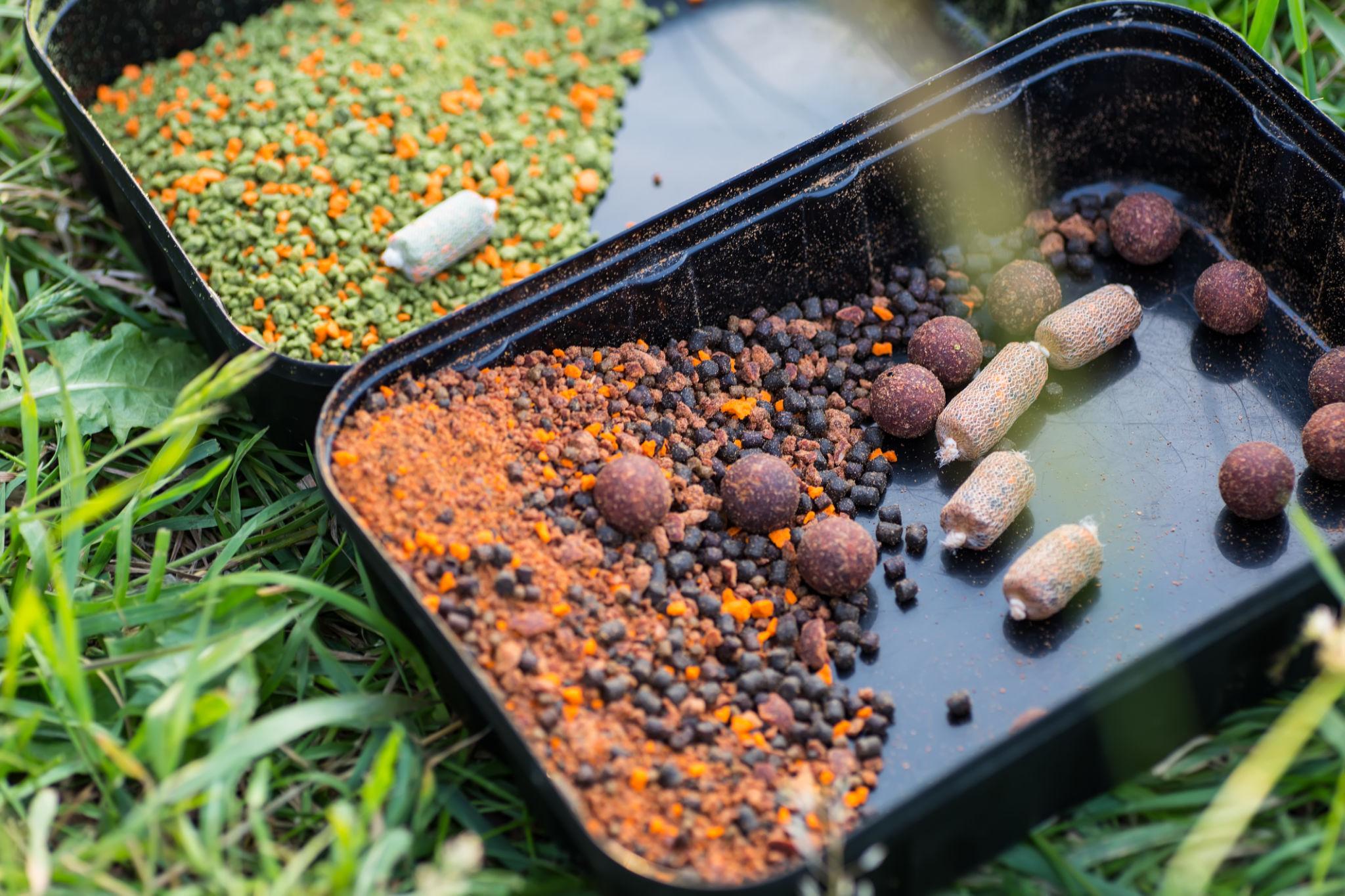 Top 10 nade pentru crap – cele mai eficiente în 2026